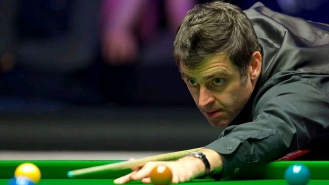 成功提供了 成功提供了