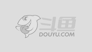 副总裁提出
